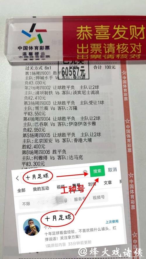 世界杯投注专家意见与分析报告